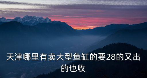 天津哪里有賣大型魚缸的要28的又出的也收