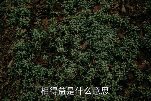 相得益彰什么意思，相得益是什么意思
