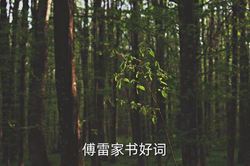 傅雷家書好詞好句，傅雷家書好詞