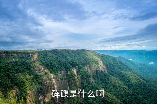 硨磲是什么啊