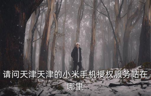 天津市峰順仁和商貿有限公司，天津雪弗蘭解放南路店具體位置在哪