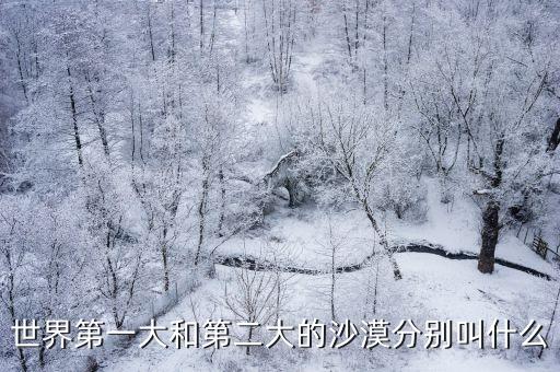 世界第一大和第二大的沙漠分別叫什么