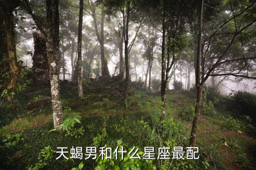 天蝎男和什么星座最配