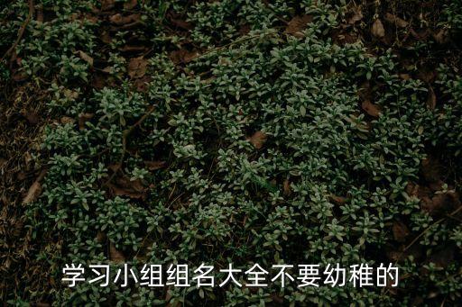 學習小組組名大全不要幼稚的