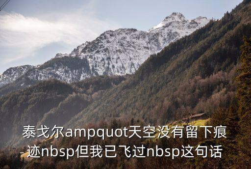 泰戈爾ampquot天空沒有留下痕跡nbsp但我已飛過nbsp這句話
