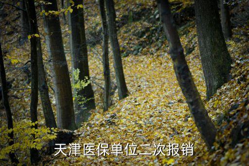 天津醫保單位二次報銷