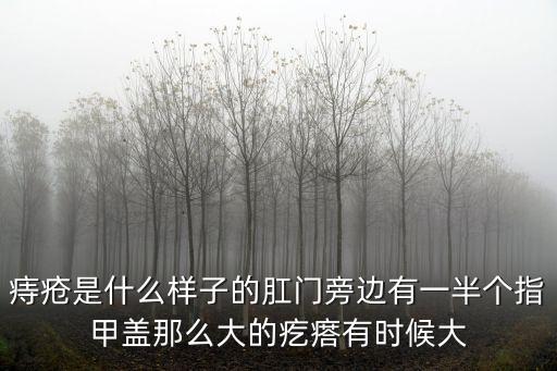 痔瘡是什么樣子的肛門(mén)旁邊有一半個(gè)指甲蓋那么大的疙瘩有時(shí)候大