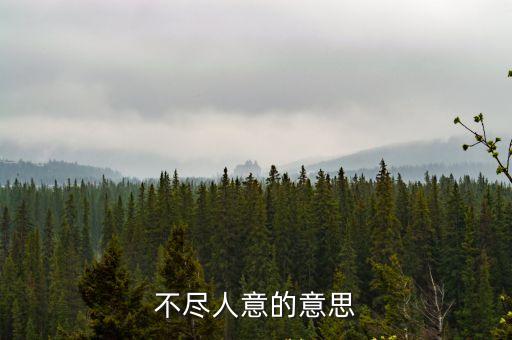 不盡人意，不盡人意 什么意思