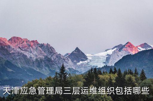天津應急管理局三層運維組織包括哪些