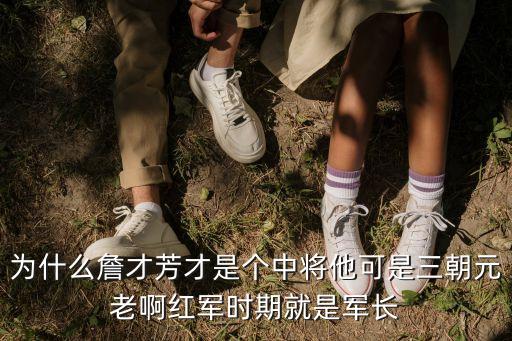 為什么詹才芳才是個中將他可是三朝元老啊紅軍時期就是軍長
