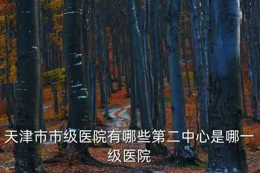 天津市市級醫(yī)院有哪些第二中心是哪一級醫(yī)院