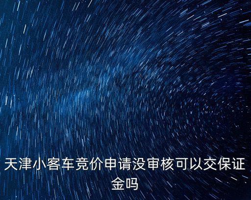 天津小客車競價申請沒審核可以交保證金嗎