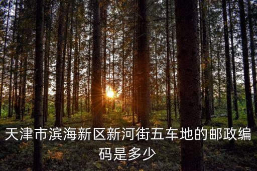 天津市濱海新區五車地，天津濱海新區在什么地方