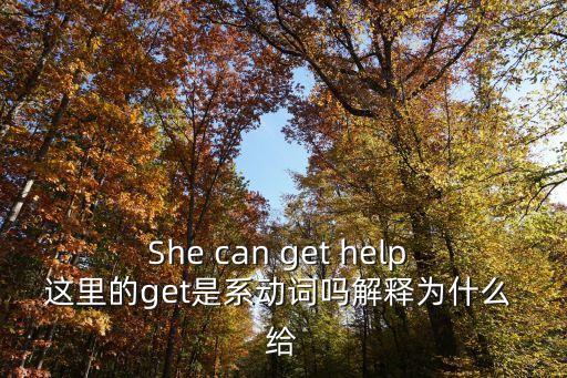 get是系動詞嗎，She can get help 這里的get是系動詞嗎解釋為什么 給