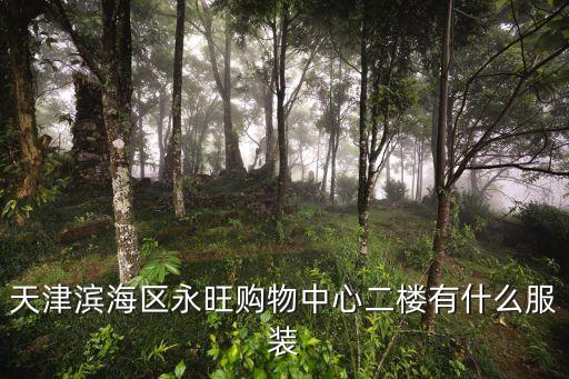 天津濱海區永旺購物中心二樓有什么服裝