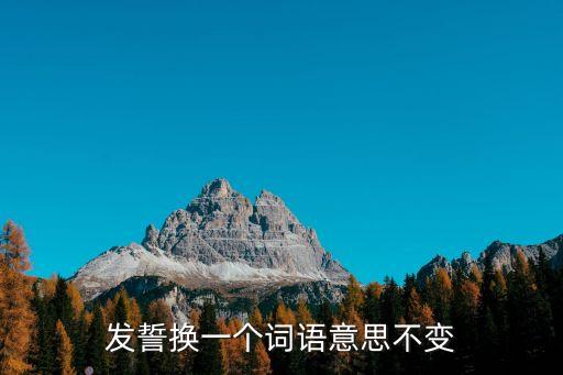 發(fā)誓換一個(gè)詞語(yǔ)意思不變
