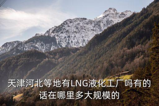天津市寧河區氣體液化設備，天津市寧河縣潘莊鎮永進公司