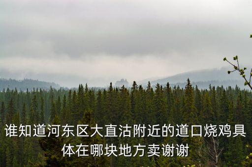 天津市河東區燒雞，誰知道河東區大直沽附近的道口燒雞具體在哪塊地方賣謝謝