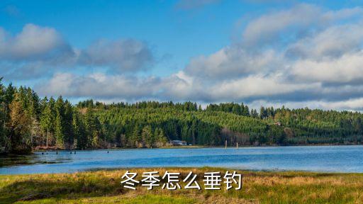 冬季怎么垂釣