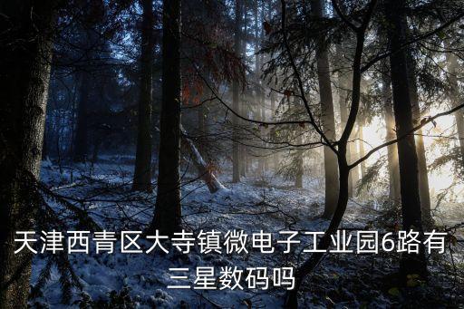 天津西青區大寺鎮微電子工業園6路有三星數碼嗎
