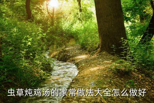 蟲草燉雞湯的家常做法大全怎么做好
