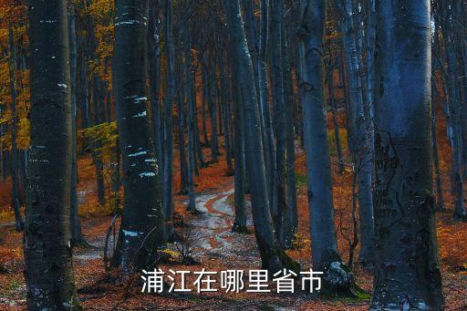 天津市浦江屬于哪個區，浦江在哪里省市