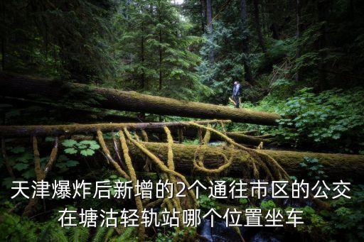 天津爆炸后新增的2個通往市區的公交在塘沽輕軌站哪個位置坐車