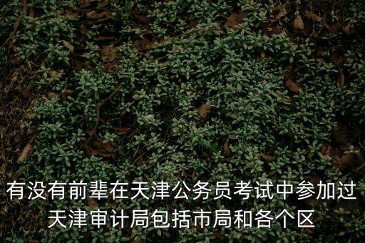 天津市審計局法規處，違反道德的可以處理的財政局 自律組織 單位會計部門 審計部門
