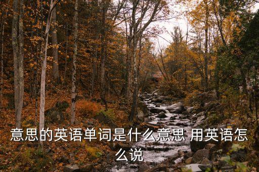 意思的英語單詞是什么意思 用英語怎么說