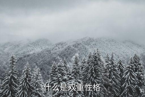 雙重性格，什么是雙重性格