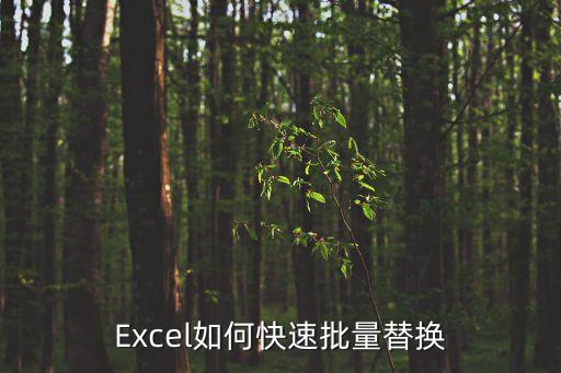 excel替換，怎樣在excel表格中替換掉