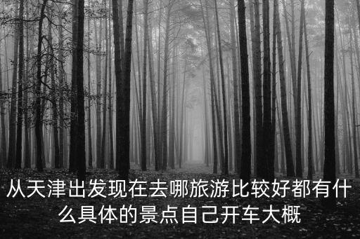 從天津出發(fā)現(xiàn)在去哪旅游比較好都有什么具體的景點(diǎn)自己開(kāi)車大概