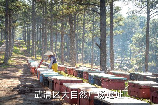 武清區(qū)大自然廣場地址