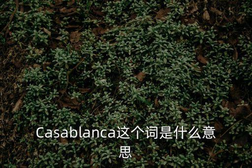 Casablanca這個(gè)詞是什么意思