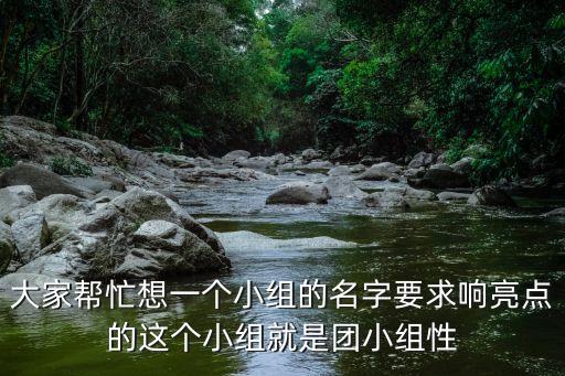 大家幫忙想一個小組的名字要求響亮點的這個小組就是團小組性