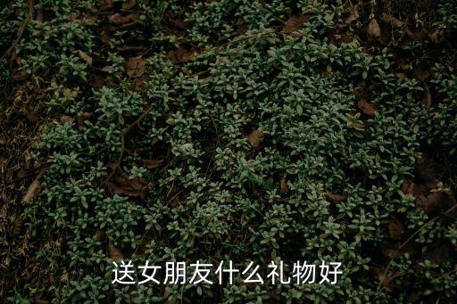 送女友，送女友什么禮物