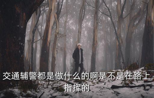 交通輔警都是做什么的啊是不是在路上指揮的