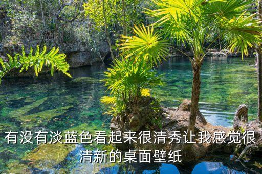 有沒有淡藍色看起來很清秀讓我感覺很清新的桌面壁紙