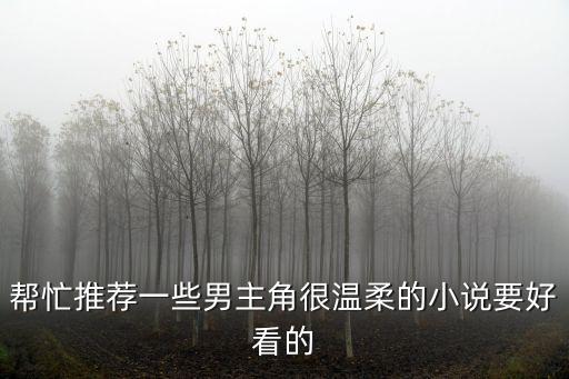 幫忙推薦一些男主角很溫柔的小說要好看的