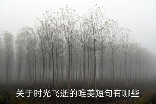 關于時光飛逝的唯美短句有哪些
