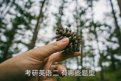 考研英語二 有哪些題型