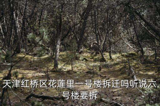 天津紅橋區花蓮里一號樓拆遷嗎聽說六號樓要拆