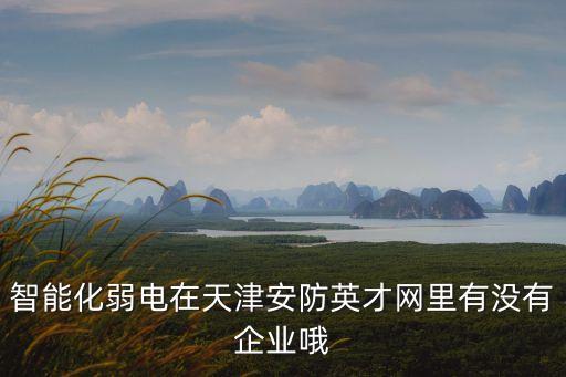 智能化弱電在天津安防英才網(wǎng)里有沒有企業(yè)哦