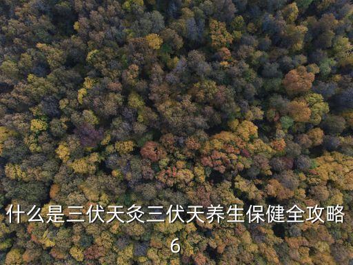 什么是三伏天灸三伏天養生保健全攻略6