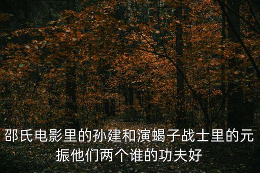 元振，邵氏電影里的孫建和演蝎子戰士里的元振他們兩個誰的功夫好