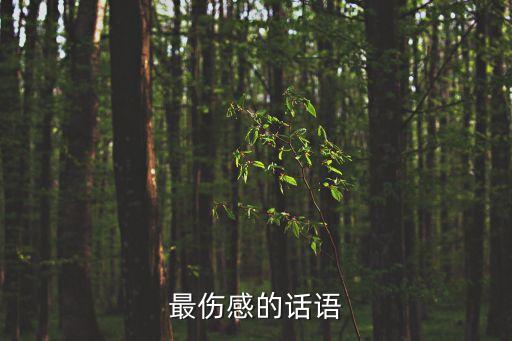 最傷感的話語