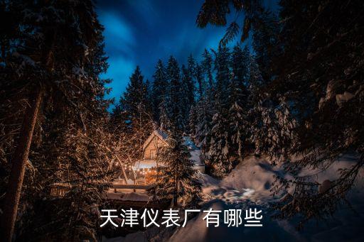 天津儀表廠有哪些