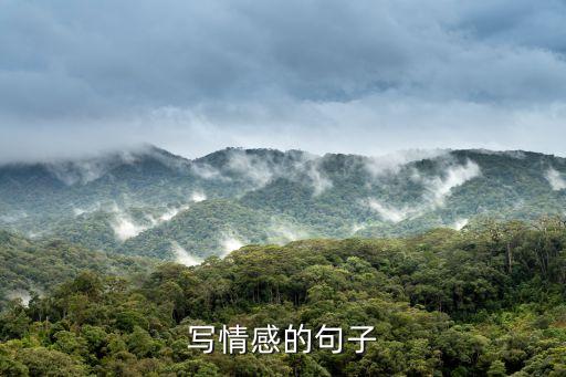 寫情感的句子