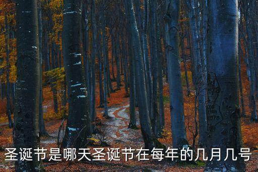 圣誕節哪天，幾月幾日是圣誕節