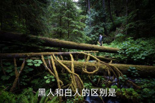 黑人和白人的區別是